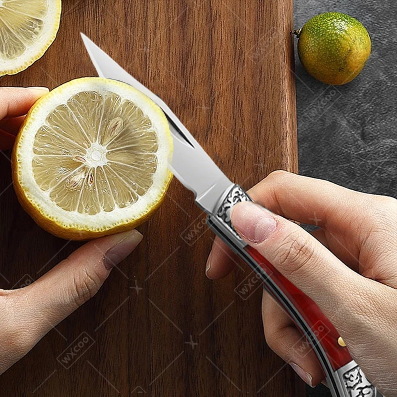 WXCOO Haushalts-Minimesser aus – Miniature Baking Kitchen Bewertung und Preis